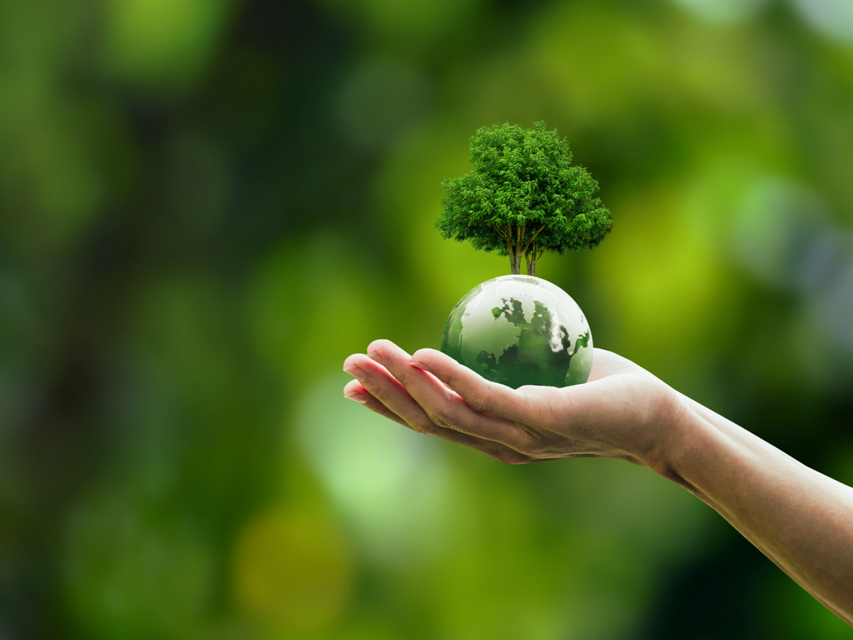 Environmental Responsibility