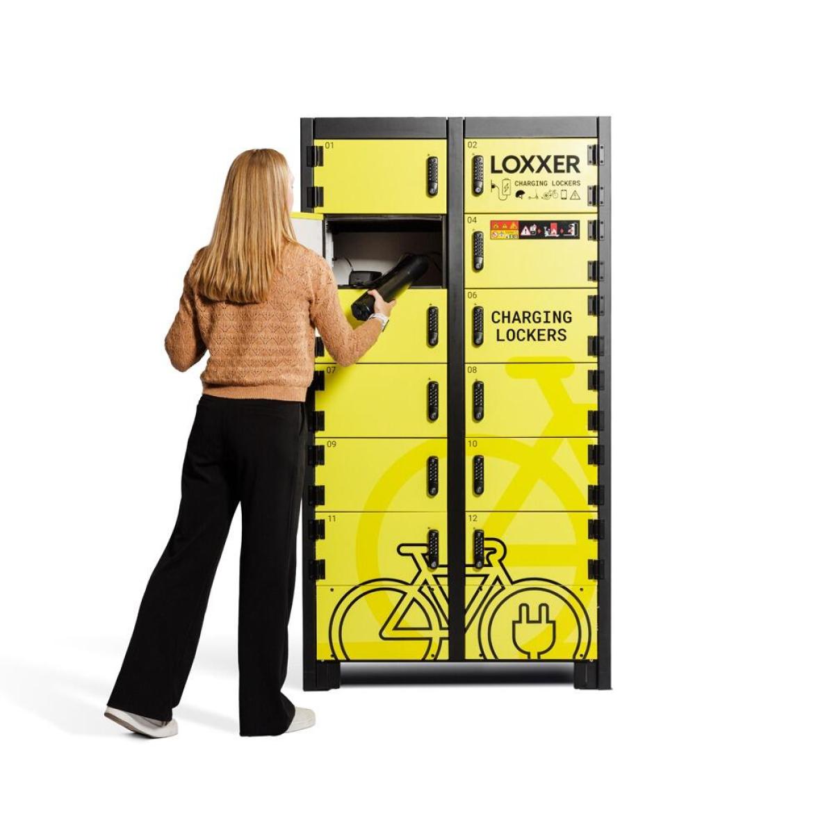 Battery Storage and Charging Locker - 12 Door